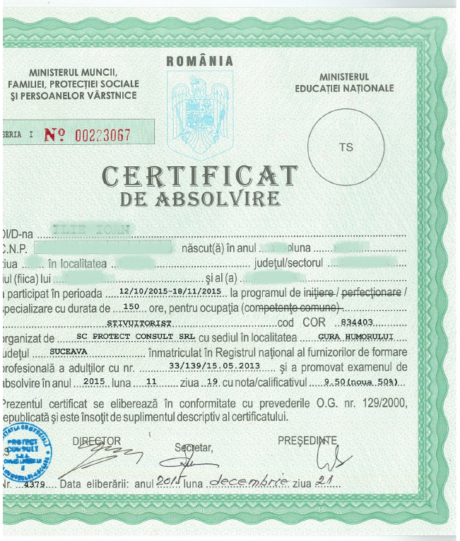 Ilie Ioan Stivuitorist